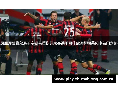 凤凰涅槃维尔茨十字韧带重伤归来夺德甲最佳欧洲杯揭幕闪电破门之路 凤凰涅槃维尔茨十字韧带重伤归来夺德甲最佳欧洲杯揭幕闪电破门之路